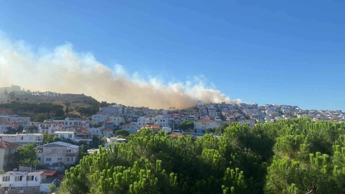 Balıkesir Ayvalık'ta örtü yangını kontrol altına alındı