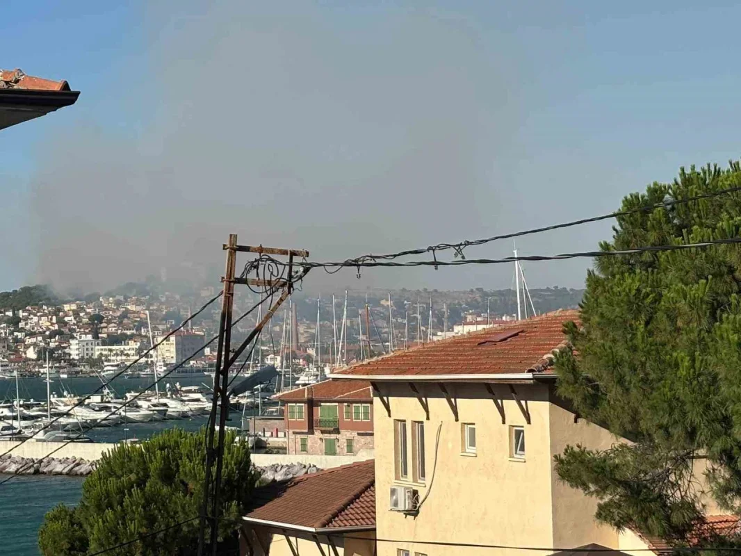 Balıkesir Ayvalık'ta örtü yangını kontrol altına alındı