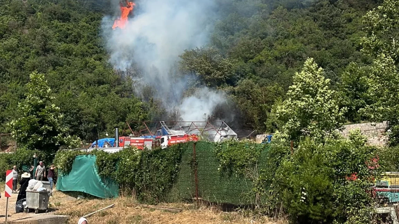 Bursa’da ormanlık alanda yangın! Çok sayıda ekip sevk edildi