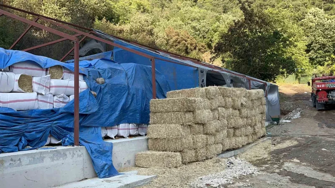 Bursa Orhaneli yolunda orman yangını kontrol altına alındı