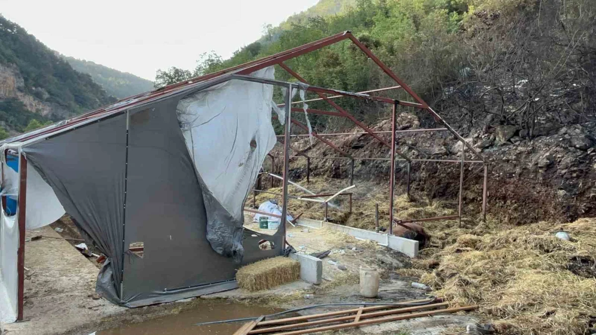 Bursa Orhaneli yolunda orman yangını kontrol altına alındı