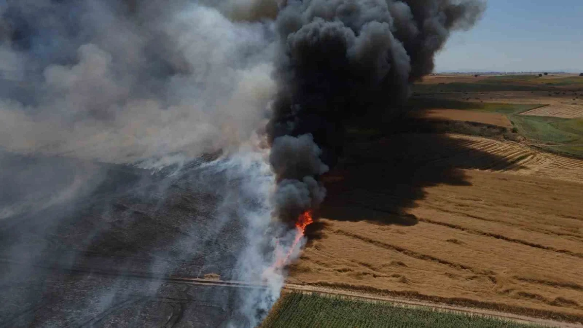 Edirne'de buğday tarlasında yangın: 750 dönüm zarar gördü