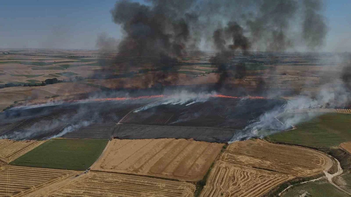 Edirne'de buğday tarlasında yangın: 750 dönüm zarar gördü