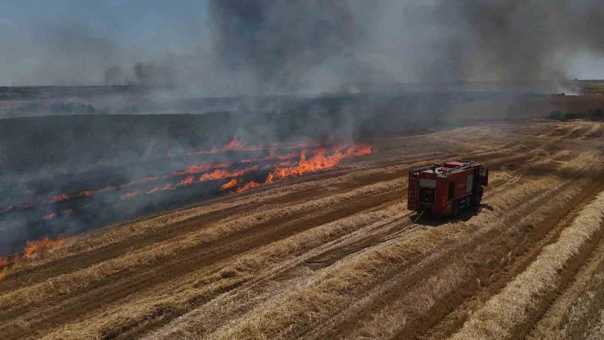 Edirne'de buğday tarlasında yangın: 750 dönüm zarar gördü