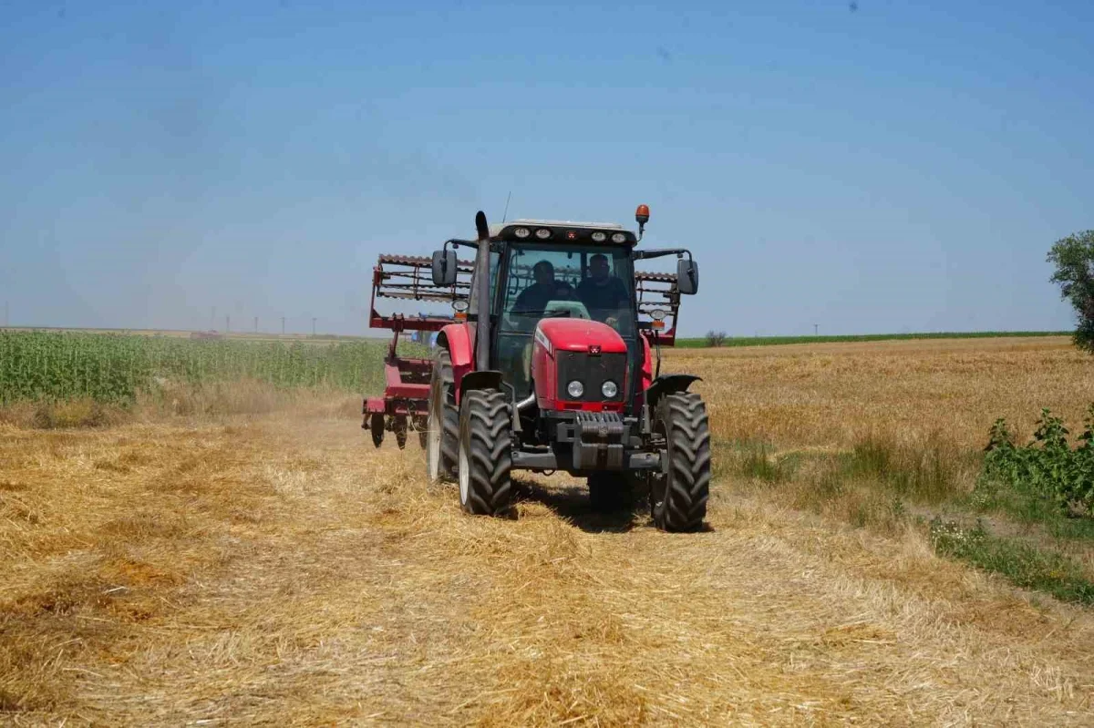 Edirne'de buğday tarlasında yangın: 750 dönüm zarar gördü
