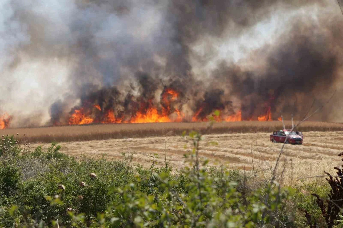 Edirne'de buğday tarlasında yangın: 750 dönüm zarar gördü