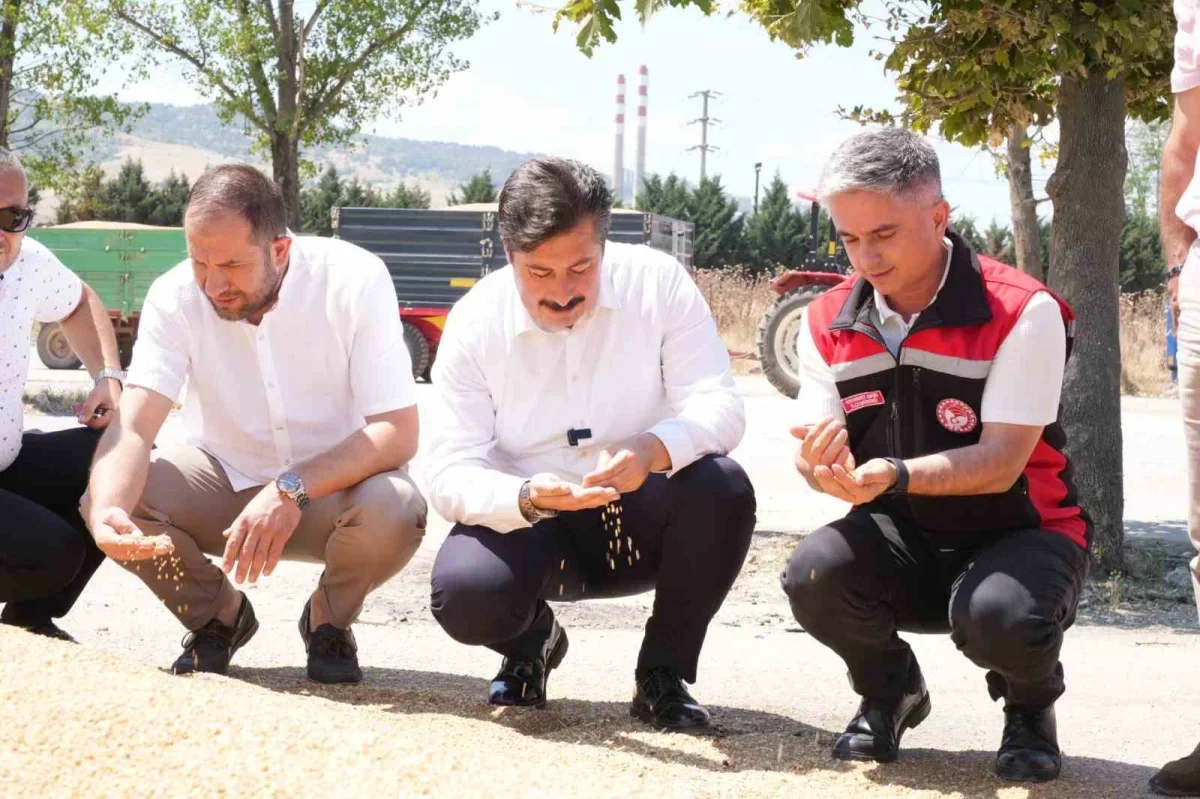 Yenişehir'de buğday alımları başladı: Üreticiye tam destek