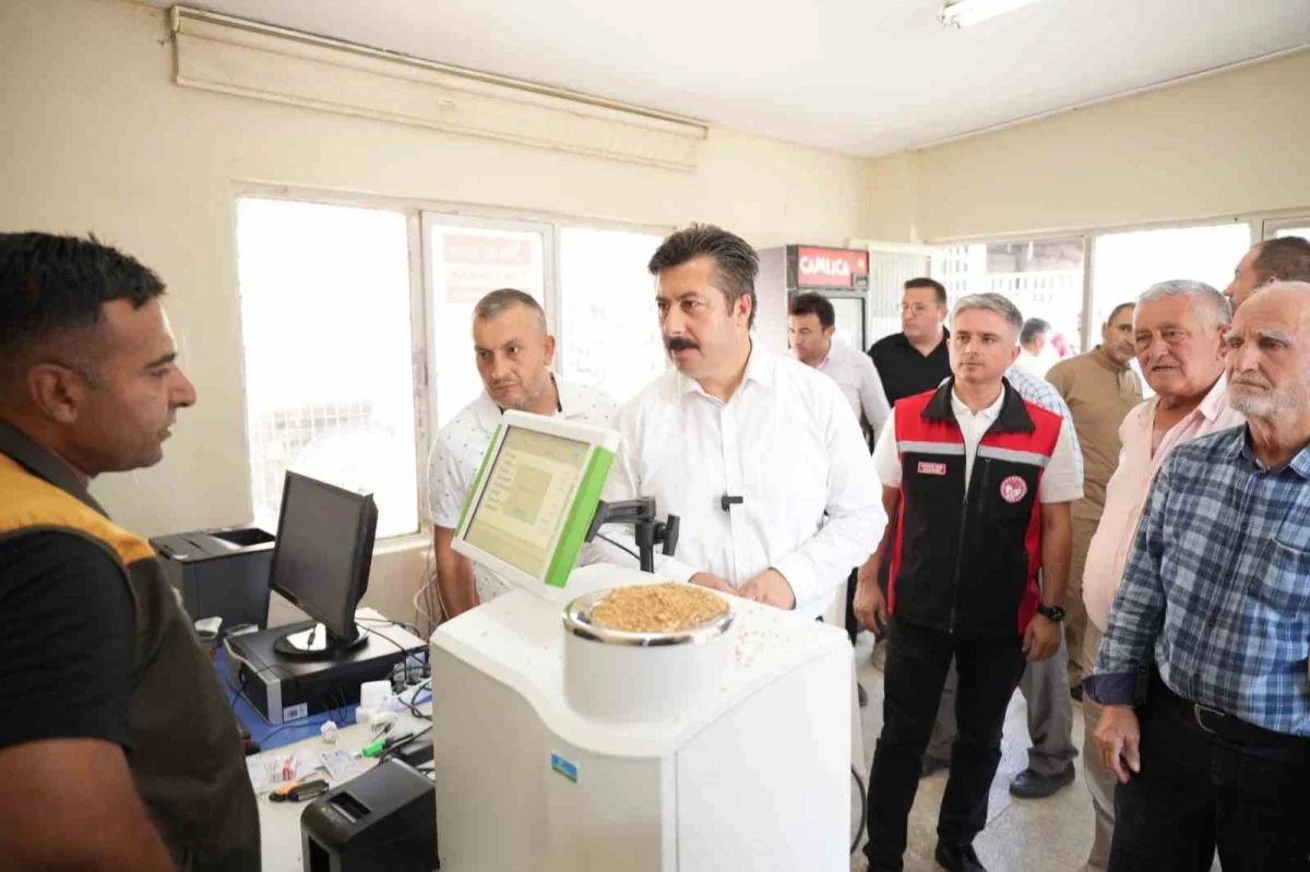 Yenişehir'de buğday alımları başladı: Üreticiye tam destek
