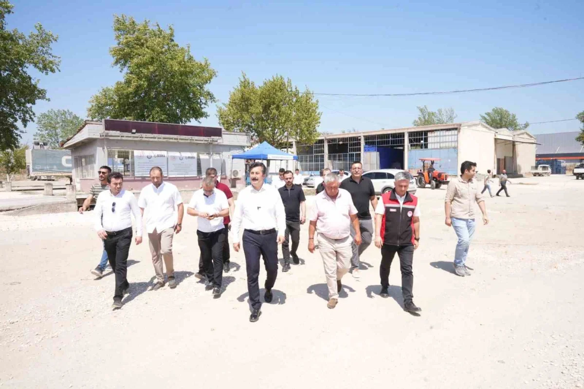 Yenişehir'de buğday alımları başladı: Üreticiye tam destek