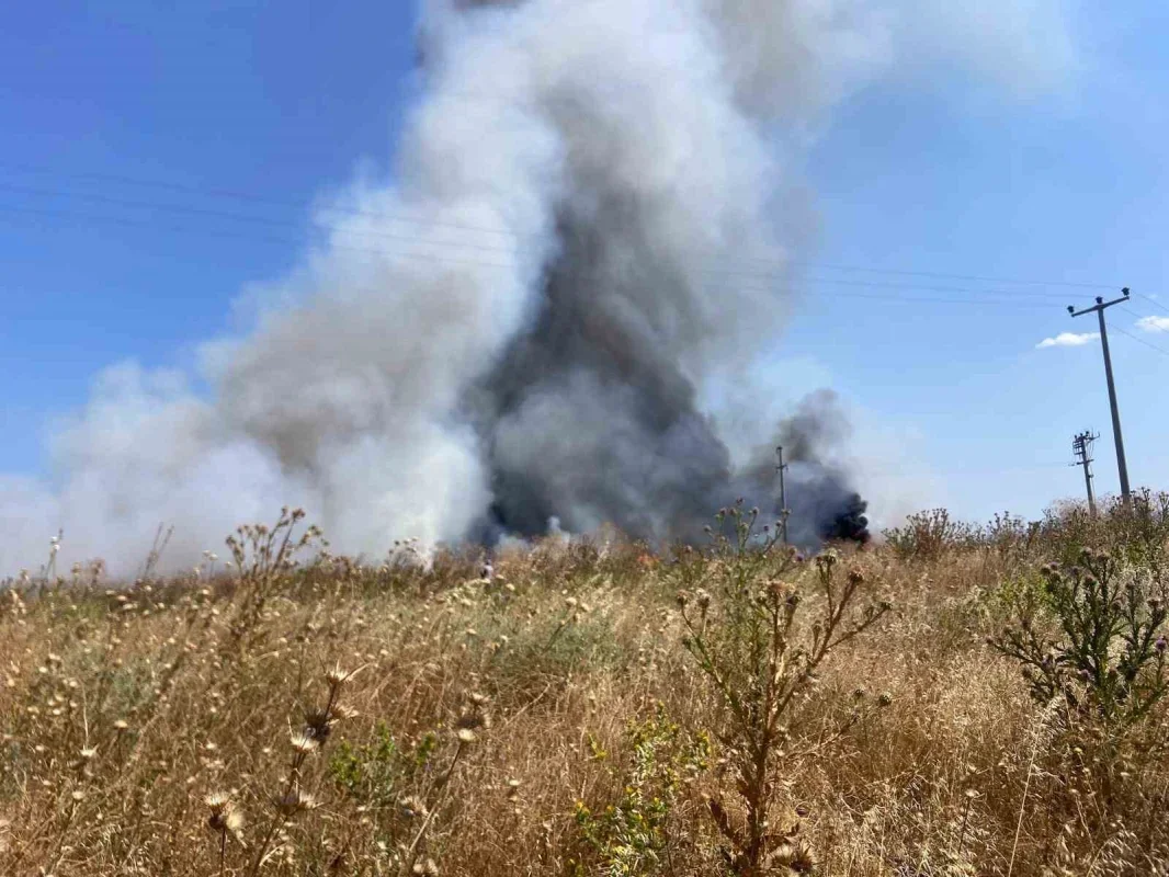 Bandırma'da otluk alandaki yangın itfaiye tarafından söndürüldü
