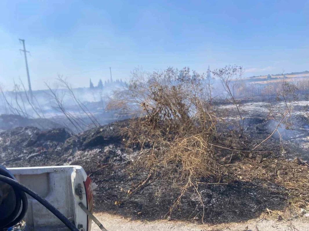 Bandırma'da otluk alandaki yangın itfaiye tarafından söndürüldü