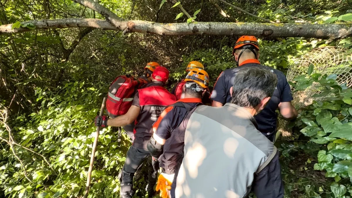 Yalova'da 3 gündür kuyuda mahsur kalan köpek kurtarıldı