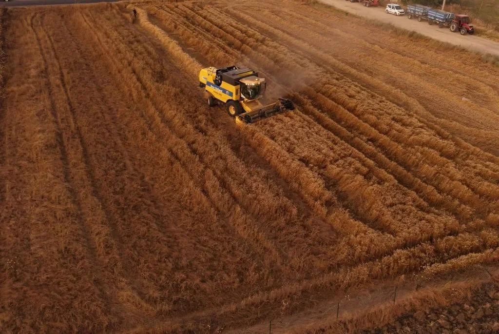 Tekirdağ'da 10'uncu Hasat Bayramı'nda çiftçilere destek