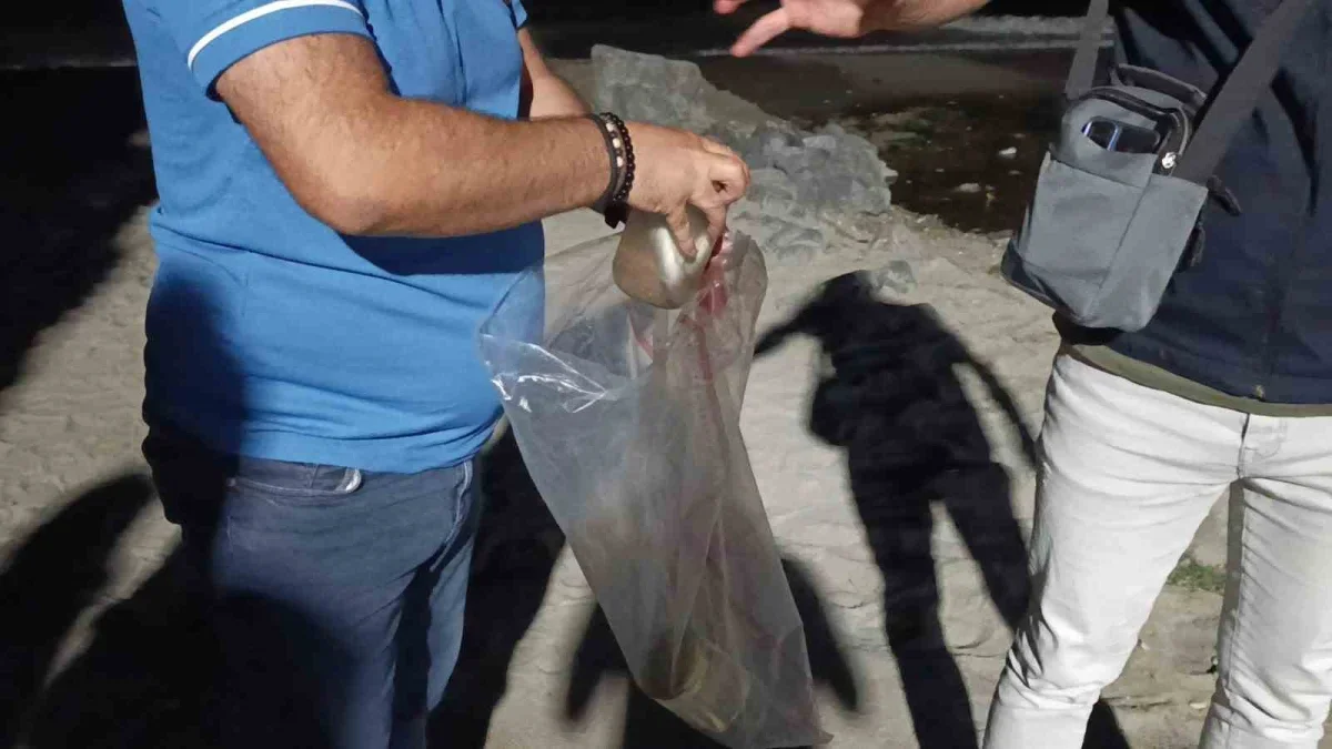 Değirmenaltı Deresi'nde balık ölümleri inceleniyor