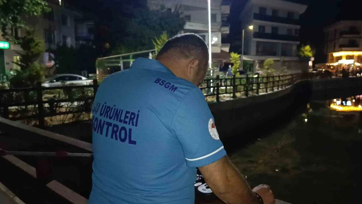 Değirmenaltı Deresi'nde balık ölümleri inceleniyor