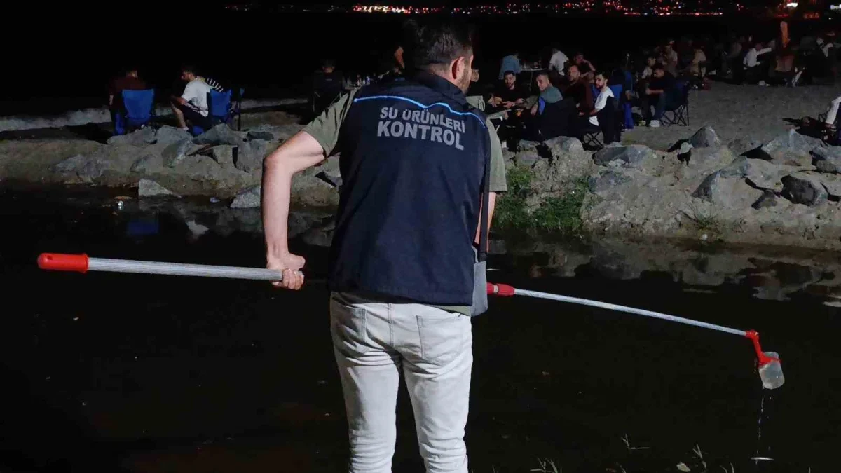 Değirmenaltı Deresi'nde balık ölümleri inceleniyor