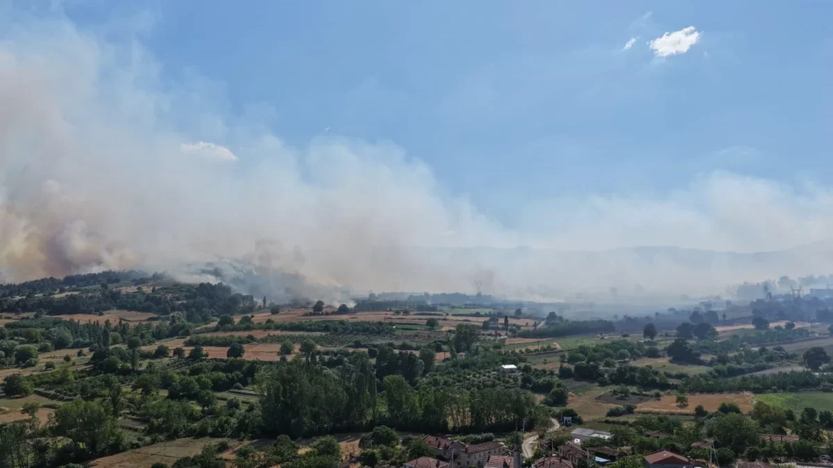 Balıkesir'de üç noktadaki yangınlar kontrol altına alındı