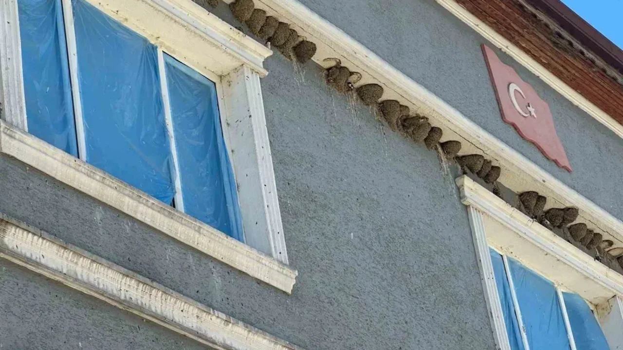 Bursa Fadıllı'da kırlangıç yuvalarını bozmadılar, camları naylonla kapladılar
