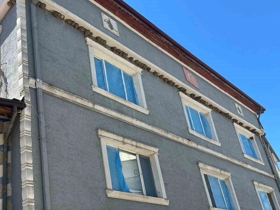 Bursa Fadıllı'da kırlangıç yuvalarını bozmadılar, camları naylonla kapladılar