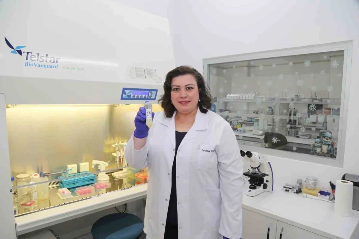 BTÜ'den diyabet yaraları için arı sütlü yerli tedavi