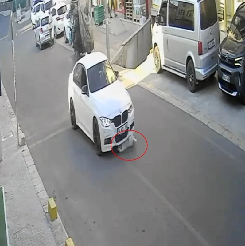 Tekirdağ'da Yumak'a araba çarptı: Sahibi bakımevine teslim etti