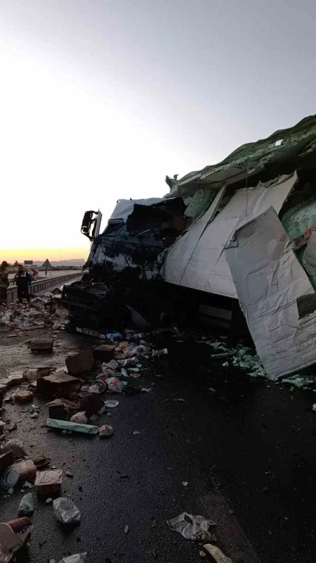 Boğaz Köprüsü'nde tavuk yüklü kamyon kazası: Sürücü öldü