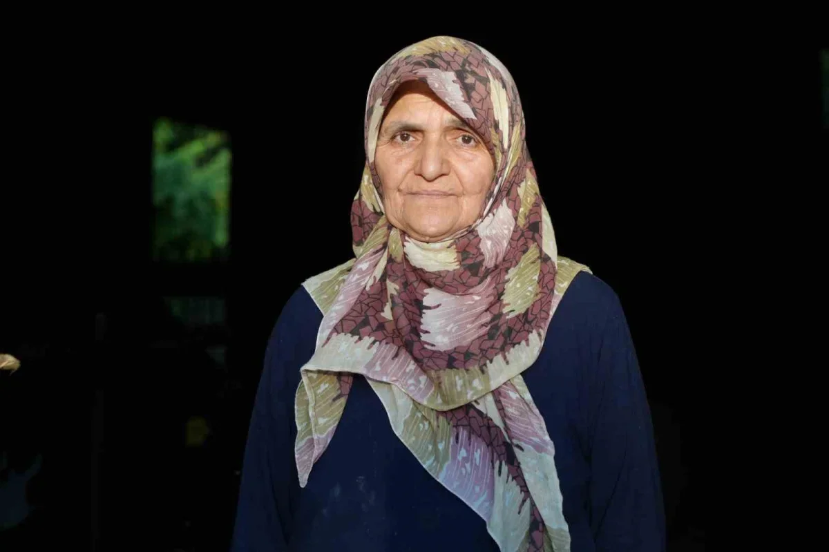 Edirne'de üçüz buzağı sürprizi: Aile büyük sevinç yaşadı