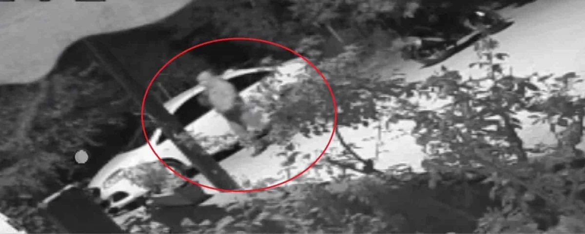 Maskeli şüpheli İznik'te park halindeki otomobili yaktı