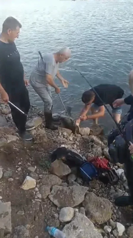 Meriç Nehri'nde 30 kiloluk yayın balığını oltayla gezdirdi