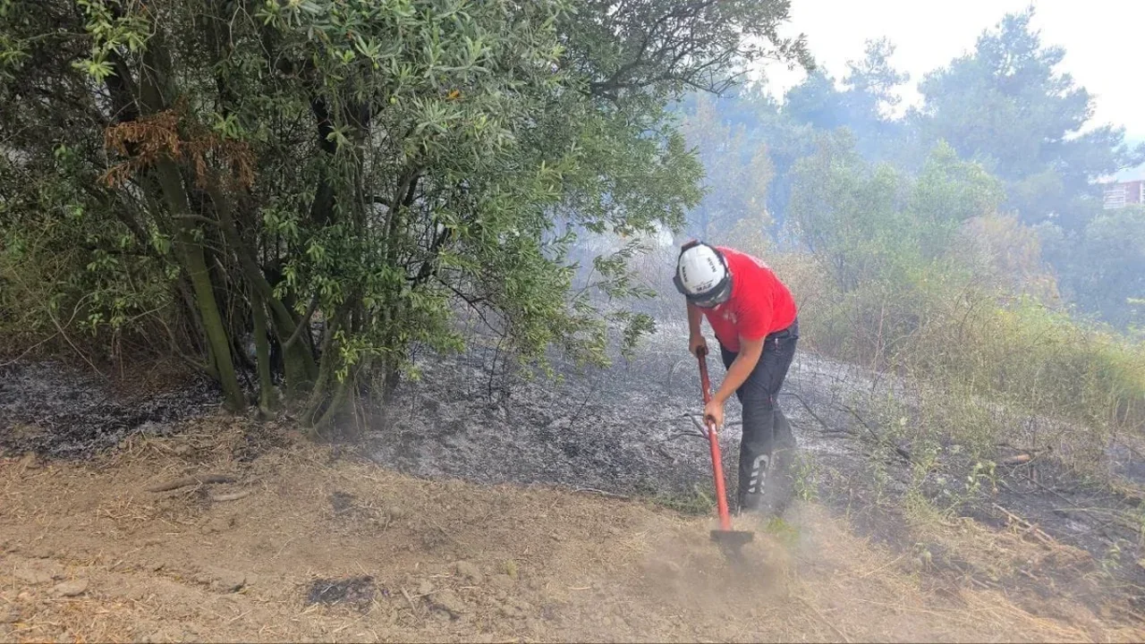 Mudanya'da rüzgarın büyüttüğü yangın kontrol altına alındı