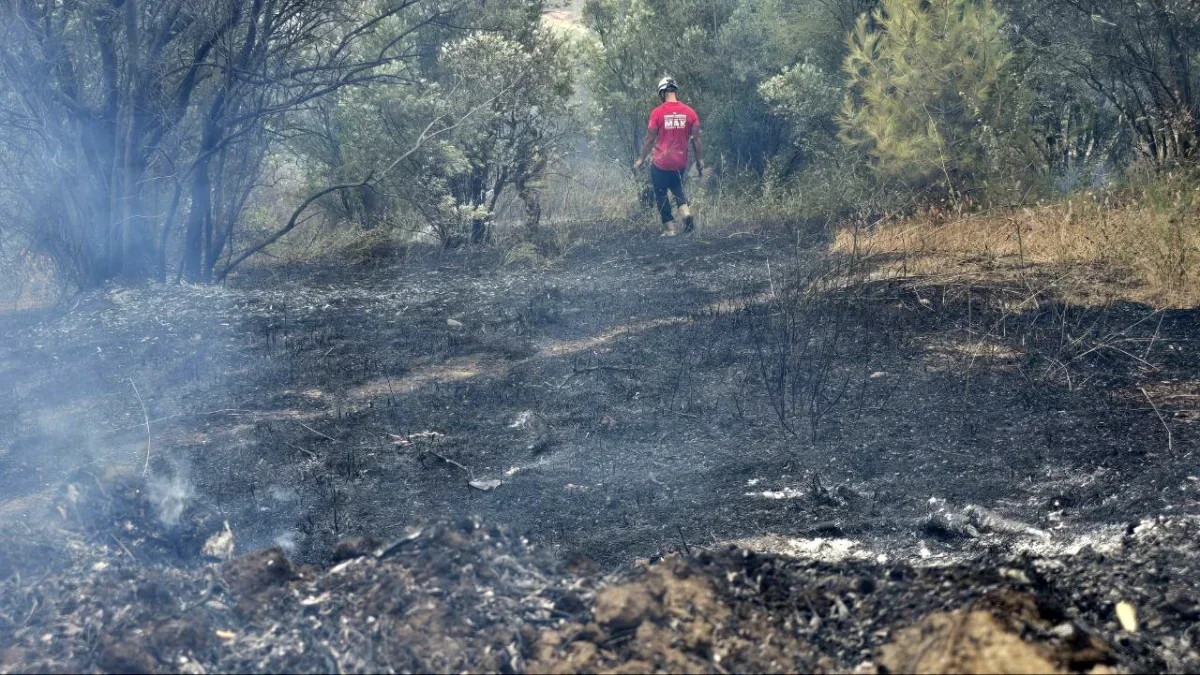 Mudanya'da rüzgarın büyüttüğü yangın kontrol altına alındı
