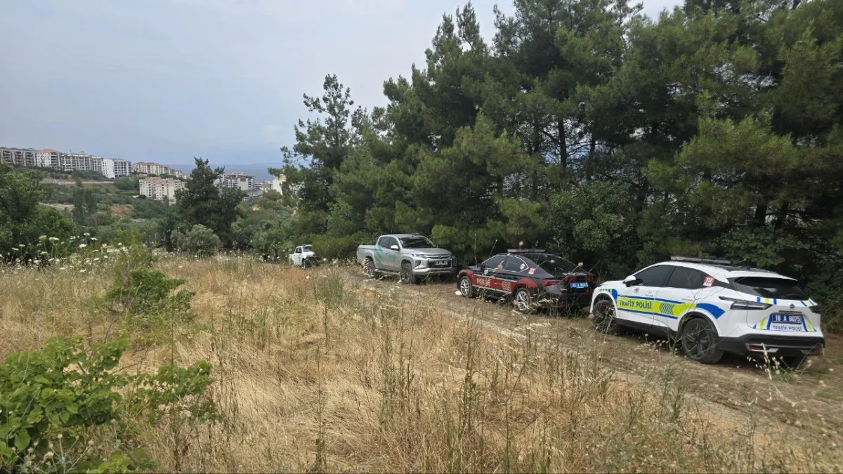 Mudanya'da rüzgarın büyüttüğü yangın kontrol altına alındı