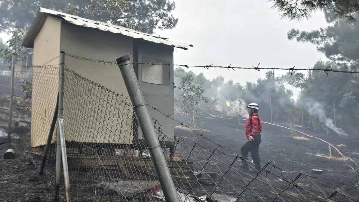 Mudanya'da rüzgarın büyüttüğü yangın kontrol altına alındı