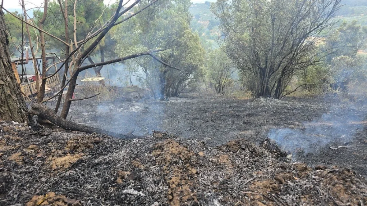 Mudanya'da rüzgarın büyüttüğü yangın kontrol altına alındı