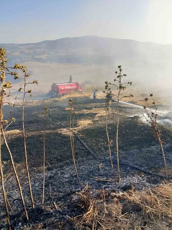 Susurluk'taki arazi yangını ekiplerin ortak müdahalesiyle söndürüldü