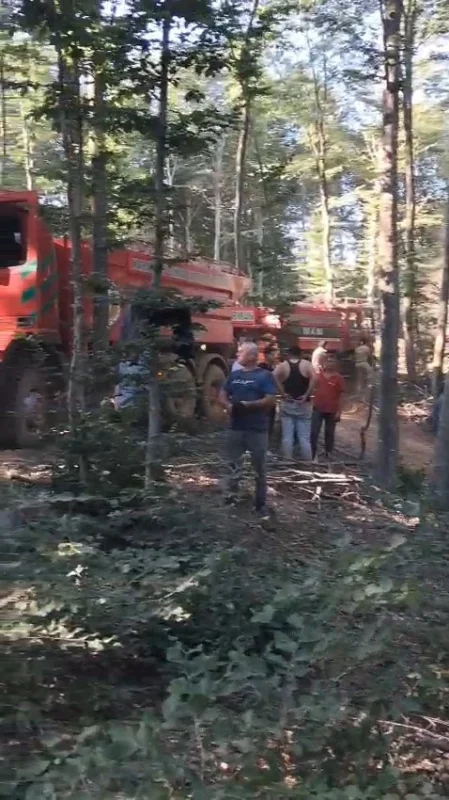Karacabey'de orman yangını: Şahmelek'te müdahale sürüyor