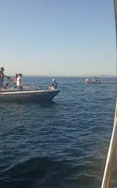 Yalova açıklarında su tankeri tekneye çarptı, 2 kişi kurtuldu