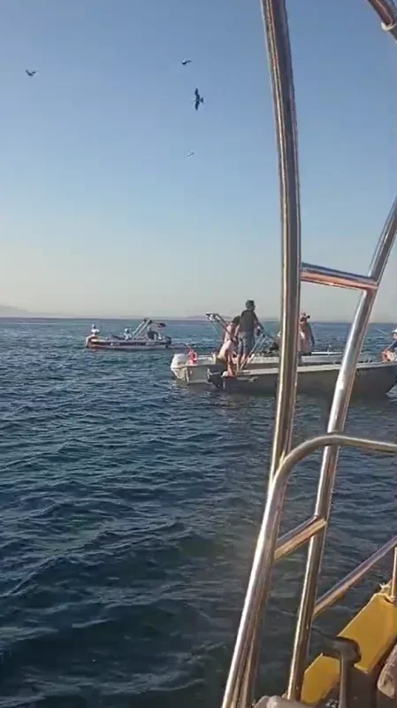 Yalova açıklarında su tankeri tekneye çarptı, 2 kişi kurtuldu