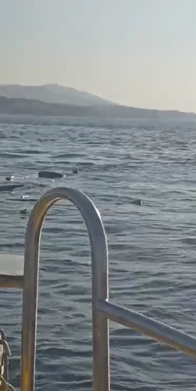 Yalova açıklarında su tankeri tekneye çarptı, 2 kişi kurtuldu