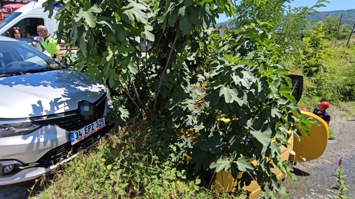 Sapanca'da otomobil ile taksi çarpıştı, sürücü dereye düştü