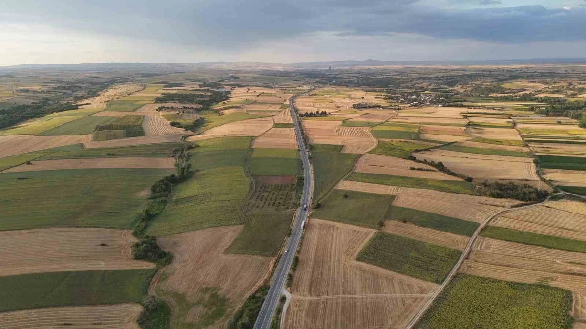 Edirne'de yağmur ayçiçeğini sevindirdi: Üretici verim bekliyor