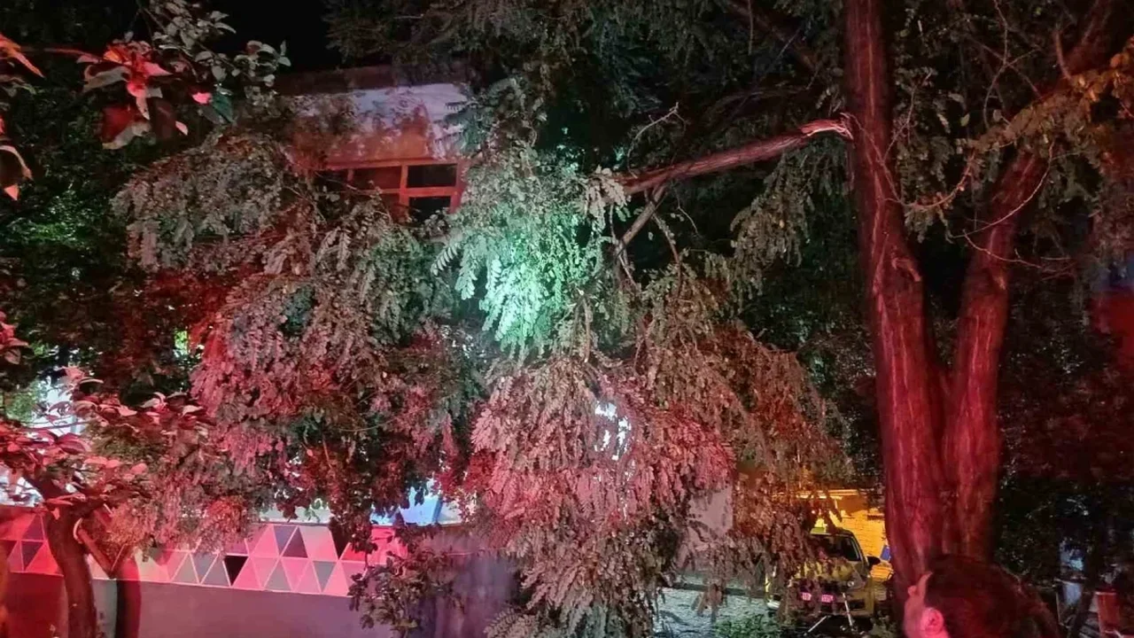 Erdek'te fırtına ve dolu: Ağaçlar devrildi, çatılar uçtu