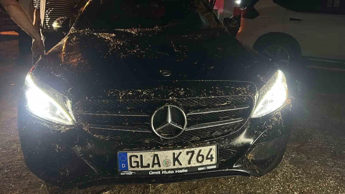 Erdek'te fırtına ve dolu: Ağaçlar devrildi, çatılar uçtu