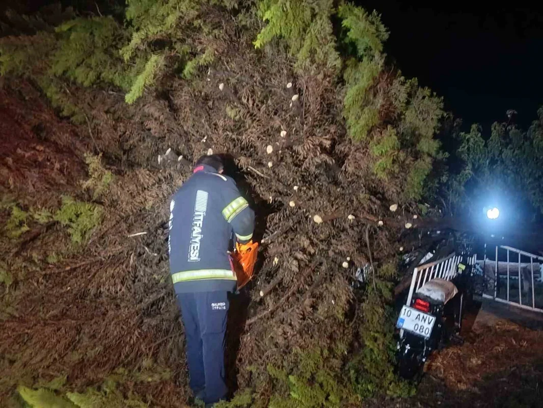 Erdek'te fırtına ve dolu: Ağaçlar devrildi, çatılar uçtu