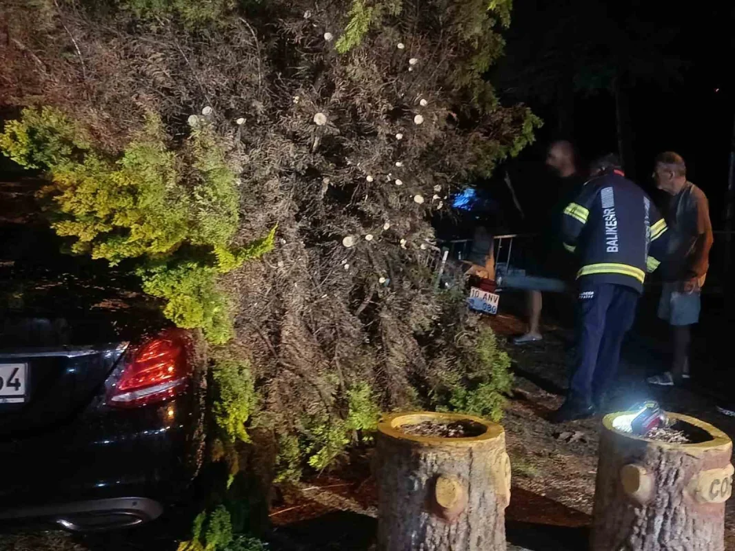 Erdek'te fırtına ve dolu: Ağaçlar devrildi, çatılar uçtu