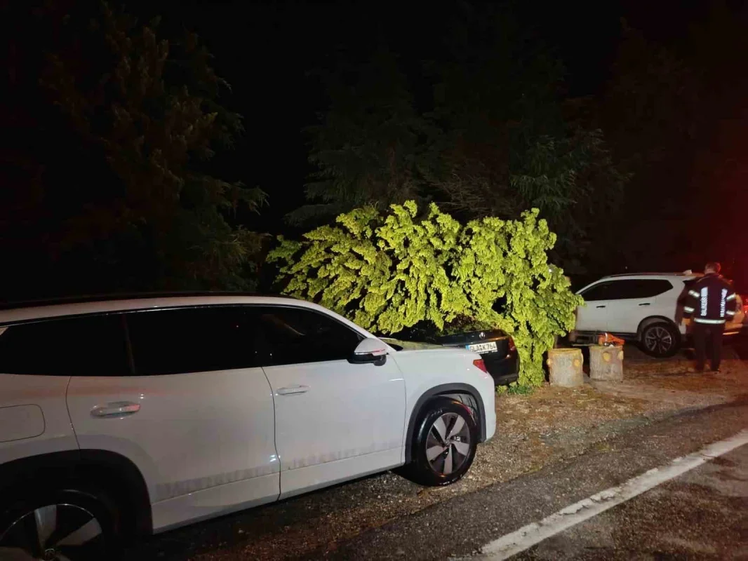 Erdek'te fırtına ve dolu: Ağaçlar devrildi, çatılar uçtu