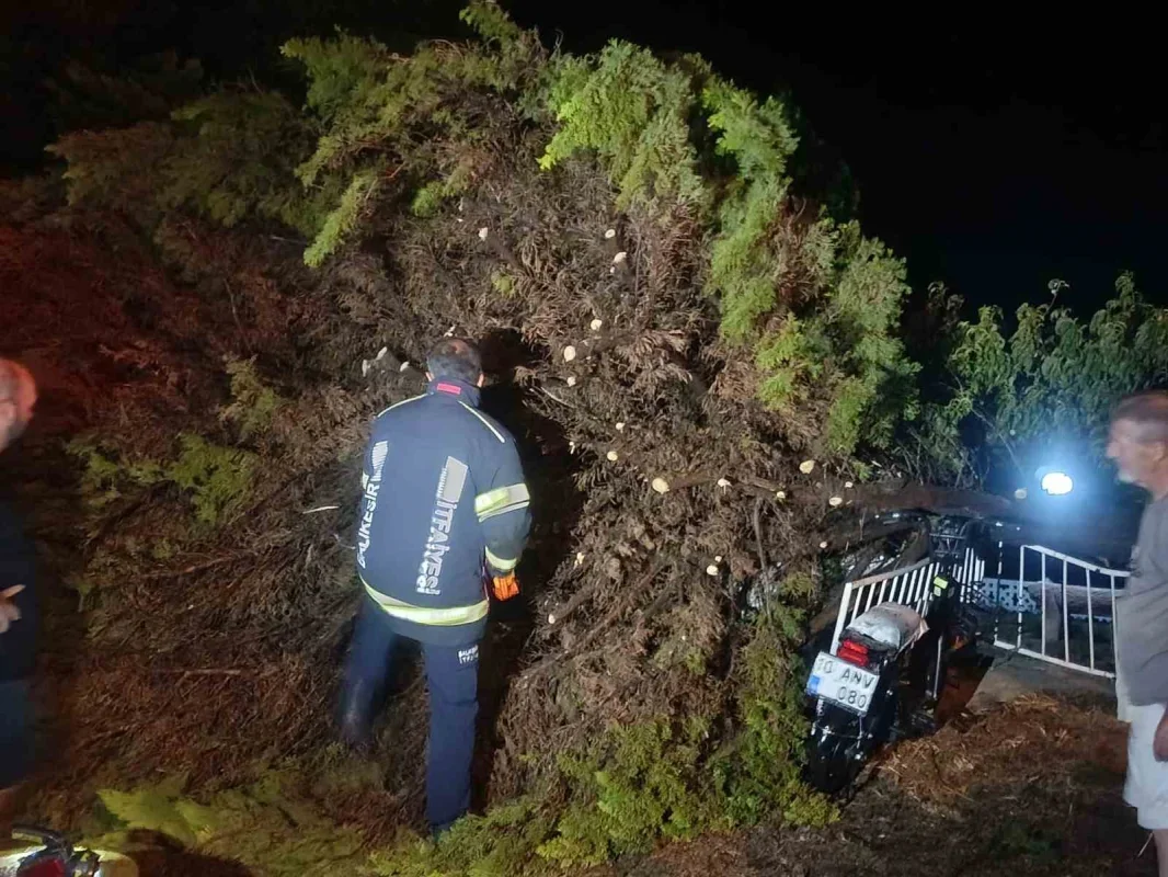 Erdek'te fırtına ve dolu: Ağaçlar devrildi, çatılar uçtu