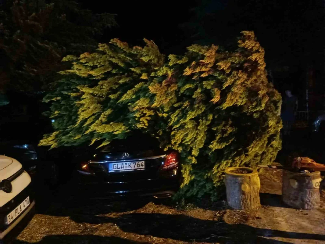 Erdek'te fırtına ve dolu: Ağaçlar devrildi, çatılar uçtu