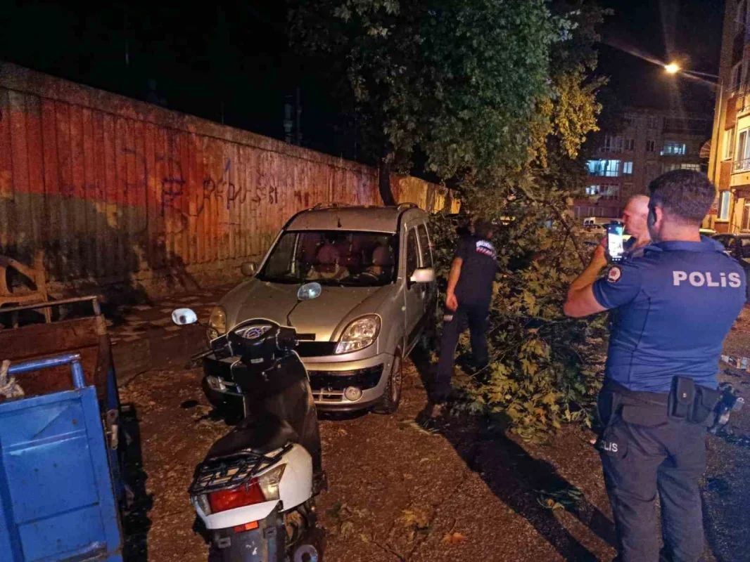 Erdek'te fırtına ve dolu: Ağaçlar devrildi, çatılar uçtu