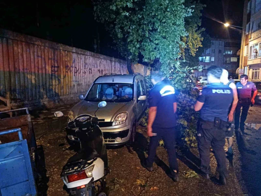 Erdek'te fırtına ve dolu: Ağaçlar devrildi, çatılar uçtu
